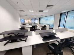PLUS (D1), Office #517779441